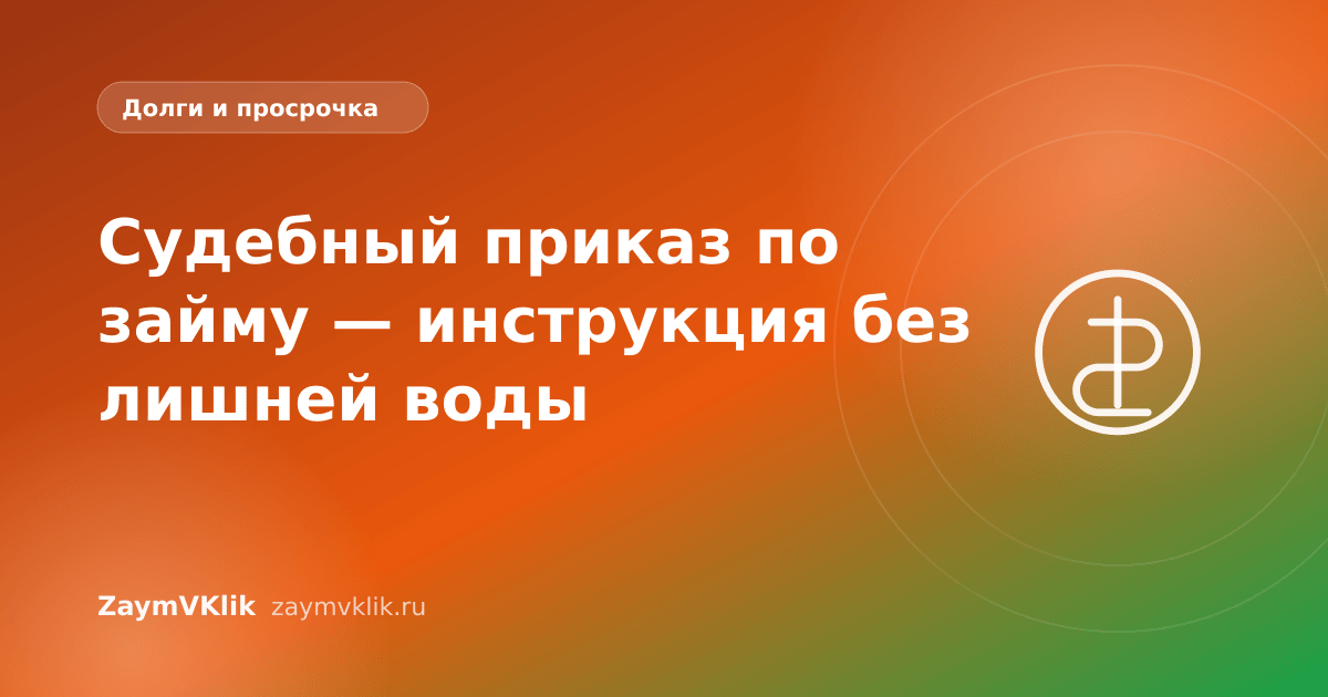 Судебный приказ по займу — инструкция без лишней воды